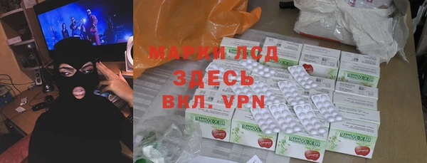 хмурый Абаза