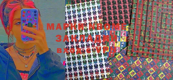 хмурый Абаза