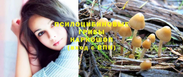 ешки Абинск