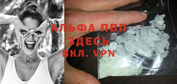 хмурый Абаза