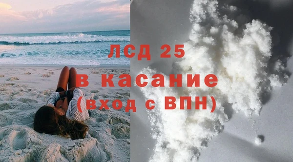 хмурый Абаза