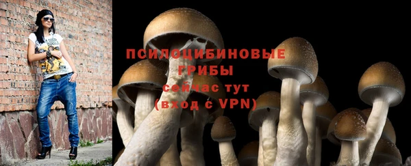 хмурый Абаза