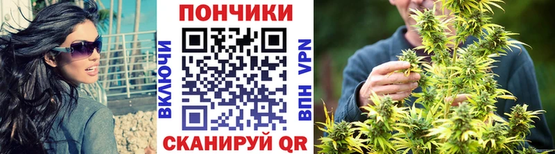 Марихуана конопля  дарнет шоп  Яхрома 